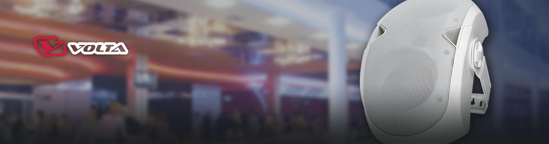 Ещё одна новинка от VOLTA - корпусной двухполосный громкоговоритель ELLIPSE-2440T